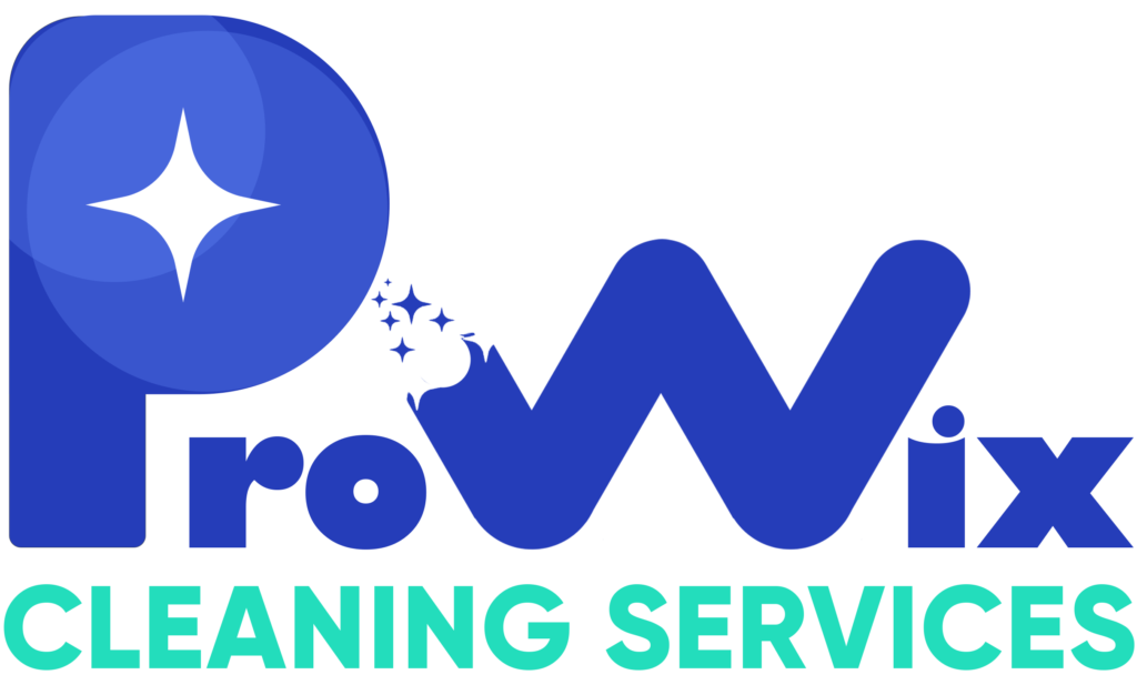 Prowix Logo Transparent